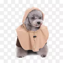 伊沃克犬品种莱娅奥加纳bb-8-狗套装