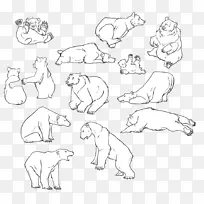 犬科狗线艺术素描-熊轮廓