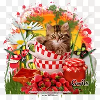小猫切花，瓷砖花纹设计-小猫
