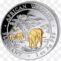 非洲象银币印度象硬币
