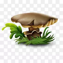 灵芝蘑菇剪贴画-园林中心