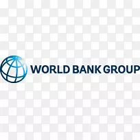 世界银行集团金融组织-银行