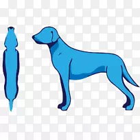 犬种小狗猎犬运动团体-小狗