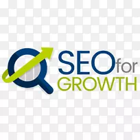 SEO促进增长：营销人员、网页设计师和企业家的终极指南-数字营销搜索引擎优化业务-业务