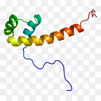 线点生物剪贴画线