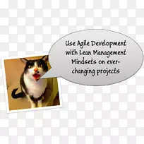 敏捷软件开发项目管理狗