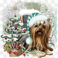 约克郡猎犬饲养宠物狗圣诞饰品玩具狗约基