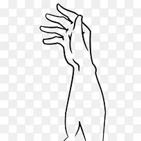 拇指画线艺术人体解剖学剪贴画手