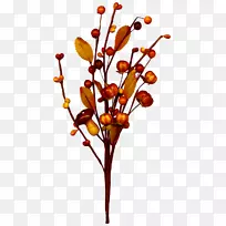 小枝切花花卉设计植物茎设计