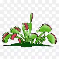 金星捕鼠器肉食植物剪贴画-植物