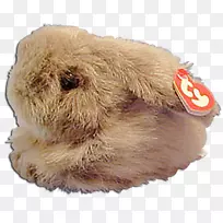 兔鼻兔