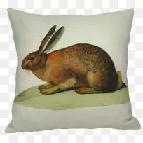 家兔抛枕头复活节兔子枕头