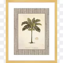 艺术树海报坚果-棕榈引线
