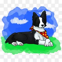 犬种：卡雷连熊，边境牧羊犬，粗糙牧羊犬-小狗