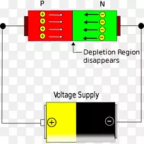 二极管p-n结电子学外本征半导体正演