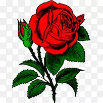 玫瑰下载剪辑艺术-玫瑰插图