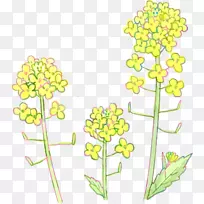 花卉设计书插图剪贴画设计
