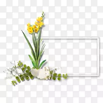 花卉设计切花花盆植物茎-可爱的框架
