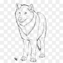 犬种红狐线画灰狼
