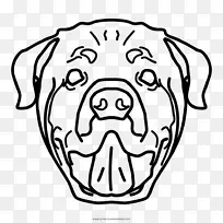 犬种罗威德犬鼻子画-小狗