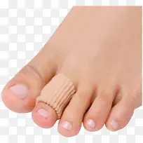 脚玉米锤趾指-玉米