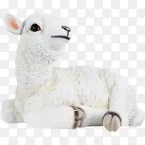 山羊羊毛玻璃纤维-HQ图片