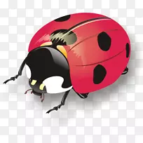 瓢虫自行车头盔滑雪雪板头盔自行车头盔
