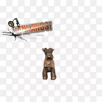 达克斯德珠宝厂有限公司杰克罗素猎犬，鞭子，中亚牧羊犬-狐狸猎犬
