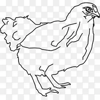鸡画线艺术母鸡剪贴画-鸡
