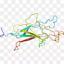 线点生物剪贴画线