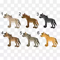非洲野狗猫科狮子条纹鬣狗