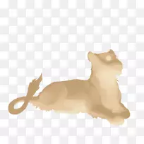 猫狗美洲狮尾巴野生动物-猫