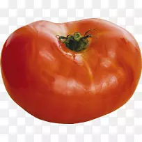 李子番茄胡椒灌木番茄食品-番茄