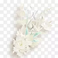 鲜花设计婚礼仪式供应剪贴画-朱塞佩·菲奥里尼