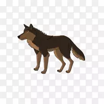 野狼野生动物尾犬