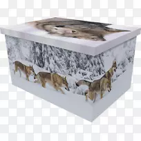 棺材宠物盒马狗-创意小猫