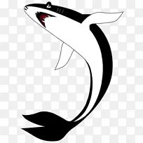 海豚线艺术卡通剪贴画-海豚