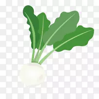 萝卜叶蔬菜