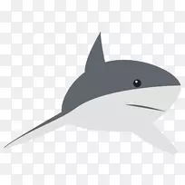 鲨鱼海豚尾鲨