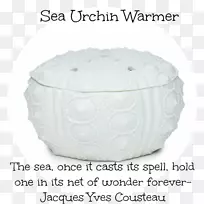 海胆味陶器-海胆