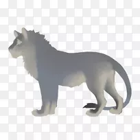 狮子猫科美洲狮鬣狗-狮子
