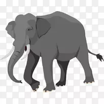 印度象-非洲象-小象