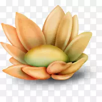 谷歌图片宝石黄色手绘水果