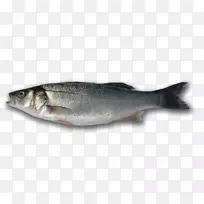 沙丁鱼产品09777三文鱼油性鱼类