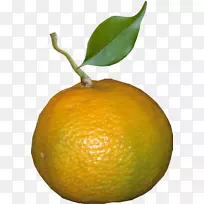 克莱门汀，柑橘，柠檬，橘子，关键酸橙-柠檬