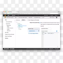 亚马逊网络服务计算机程序域名网页api网关