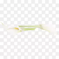 植物茎-卡拉