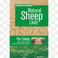 天然绵羊照顾天然山羊照顾设得兰羊家畜-山羊