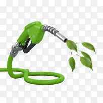 生物燃料可再生能源生物柴油能源开发生物燃料