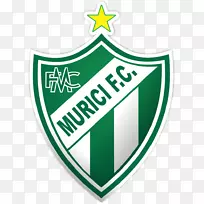 Clube Atlético Mineiro Campeonato Brasileiro série a Campeonato Mineiro murici futebol Clube américa futebol clube Minas Gerais-足球